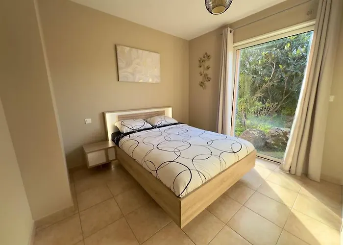 72 M2 Centre-ville Avec Jardin